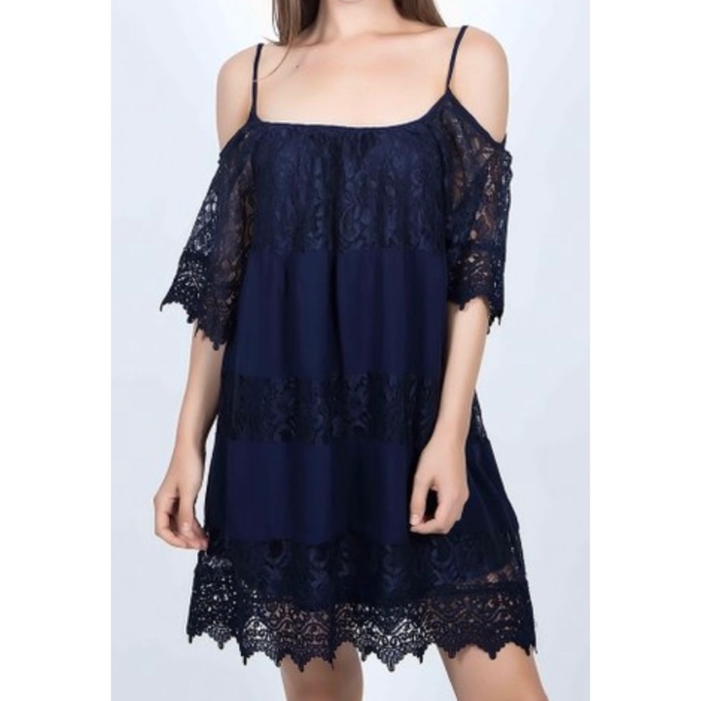 NWT GIVEN KALE Lace Versatile Dress